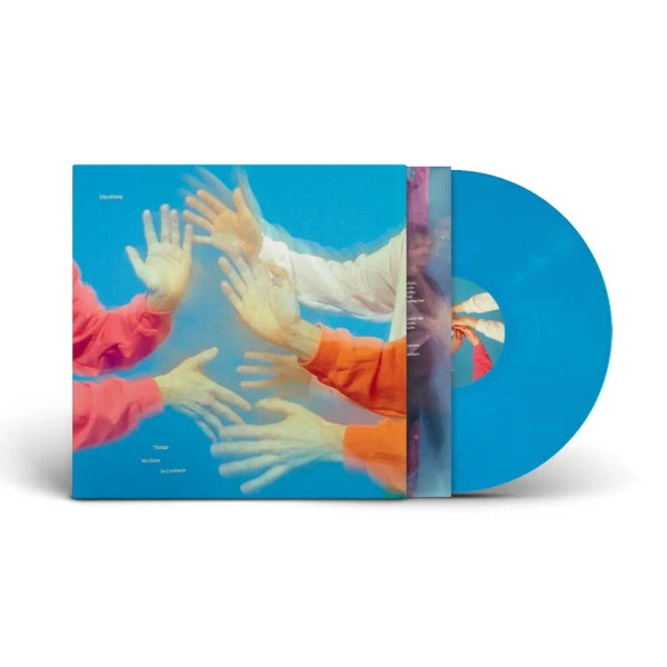 Efterklang - Things We Have In Common [Vinyl]