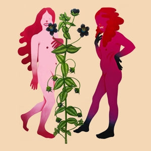 Various - Someone Like Me [Vinyl]