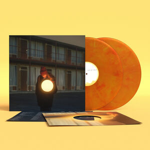 Flock Of Dimes - Life You Save [Vinyl]