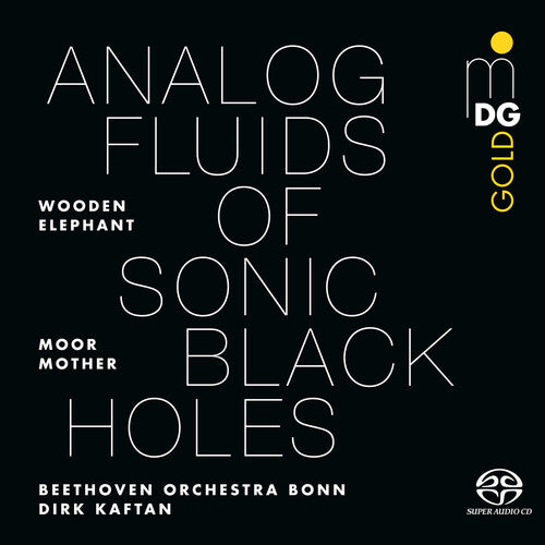 Moor Mother / Wooden Elephant / Dirk Kaf - Analog Fluids Of Sonic Black Holes [Vinyl]
