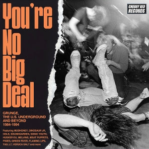 Various - You're No Big Deal: Grunge, The U.S. [CD Box Set]