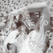 Bjork - Vespertine [CD] [Second Hand]