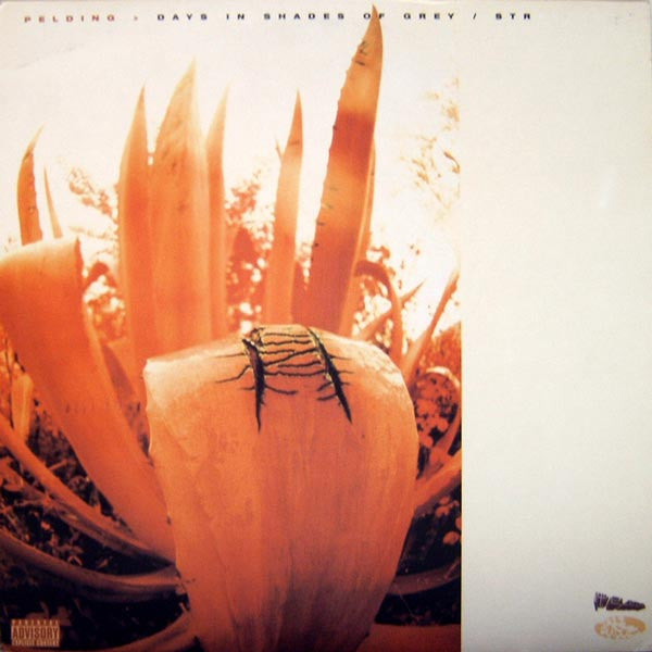 Pelding - Days In Shades Of Grey / Str [12 Inch Single] [Second Hand]