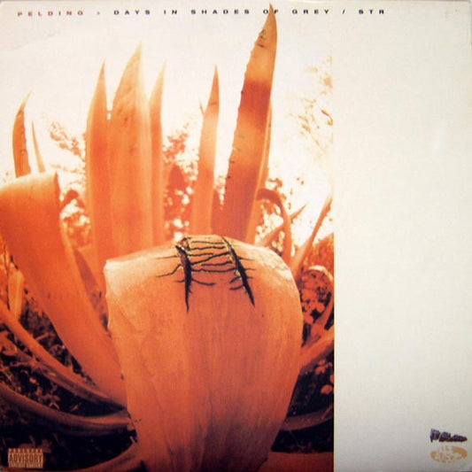 Pelding - Days In Shades Of Grey / Str [12 Inch Single] [Second Hand]