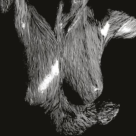 Oceansize - Self Preserved While The Bodies Float [Vinyl] [Second Hand]