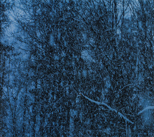 Jesu - Never [12 Inch Single]