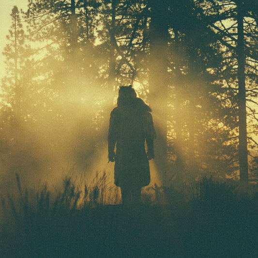 Thundercat - Beyond / Where The Giants Roam [12 Inch Single] [Second Hand]