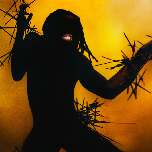 Young Fathers - Heavy Heavy [Vinyl]