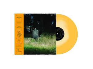 Carter, Frank and The Rattlesnakes - Dark Rainbow [Vinyl]