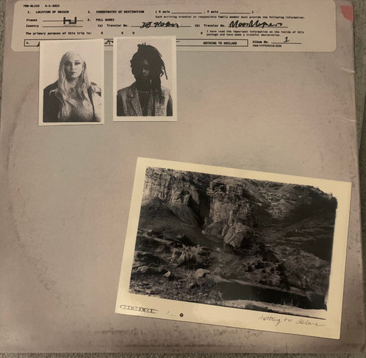 700 Bliss - Nothing To Declare [Vinyl]