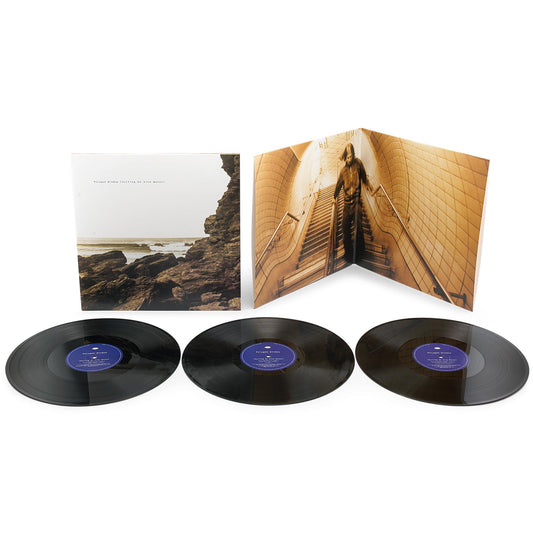 Polygon Window - Surfing On Sine Waves [Vinyl Box Set]