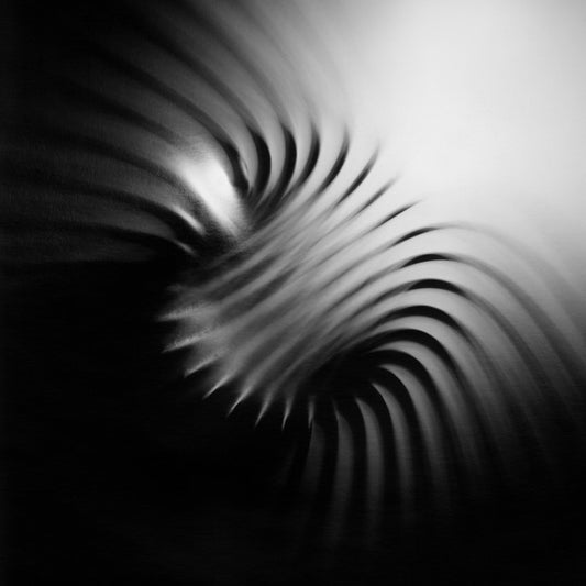 Moori, Arash - Heterodyne [Vinyl]