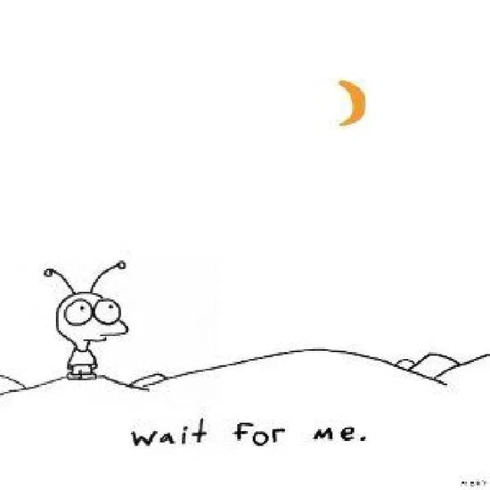 Moby - Wait For Me [CD] [Second Hand]
