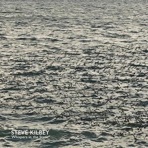 Kilbey, Steve - Whispers In The Static [CD]