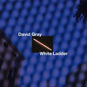 Gray, David - White Ladder [Vinyl]