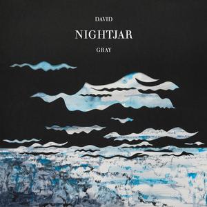 Gray, David - Nightjar [Vinyl]