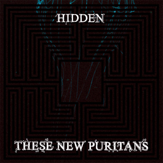 These New Puritans - Hidden [CD] [Second Hand]