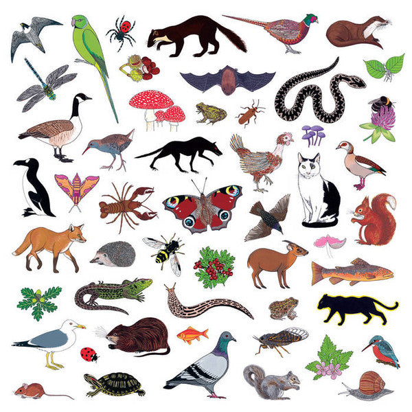 Modern Nature - Island Of Noise [Vinyl]