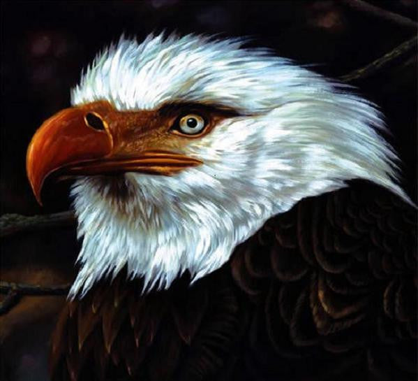 Mogwai - Hawk Is Howling [Vinyl]