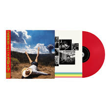 Geese - 3D Country [Vinyl]