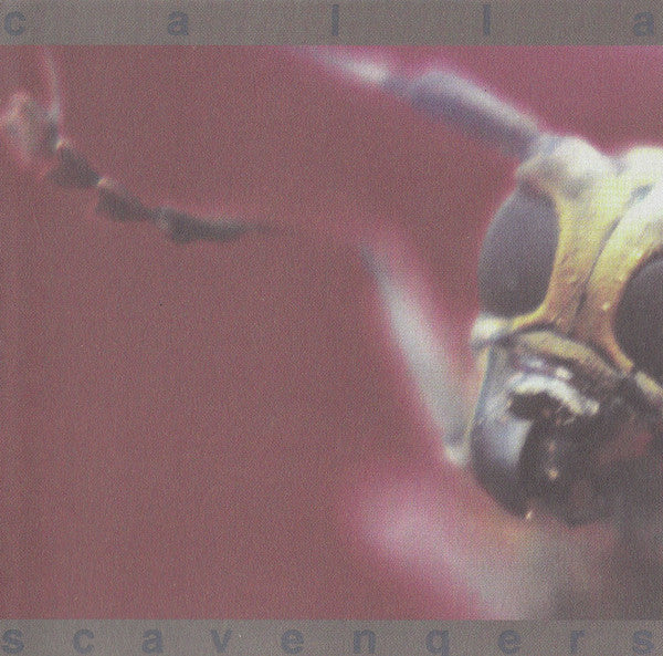 Calla - Scavengers [CD] [Second Hand]
