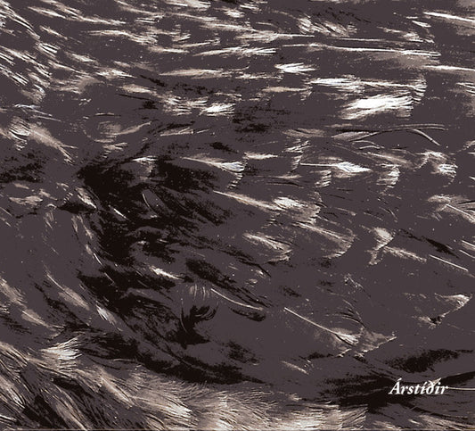 Arstidir - Arstidir [CD] [Second Hand]