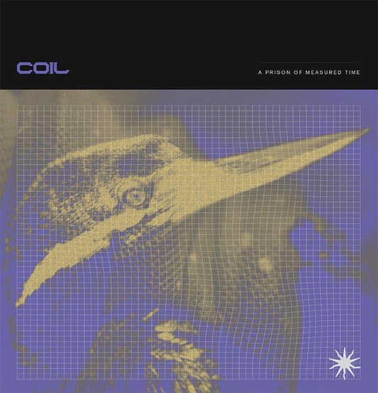 Coil - A Prison Of Measured Time [12 Inch Single]