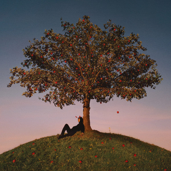 Slowthai - Tyron [Vinyl] [Second Hand]