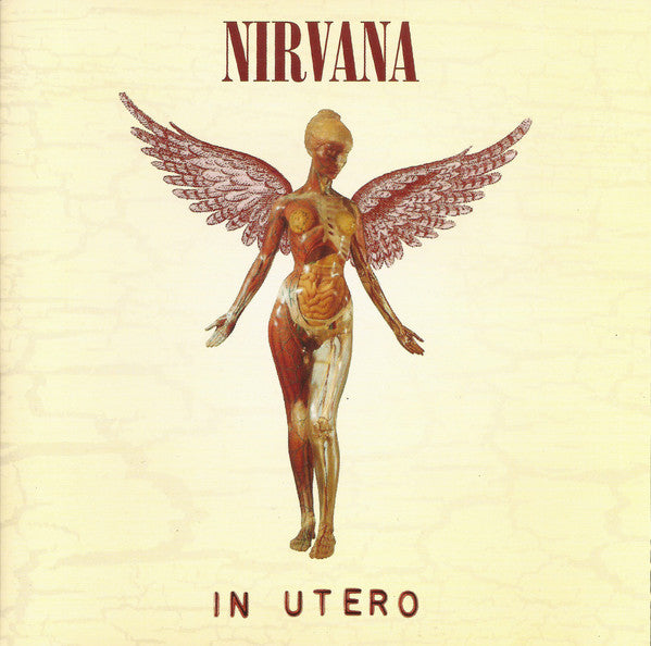 Nirvana - In Utero: 5CD [CD Box Set]