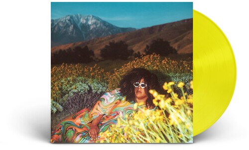 Howard, Brittany - What Now [Vinyl]