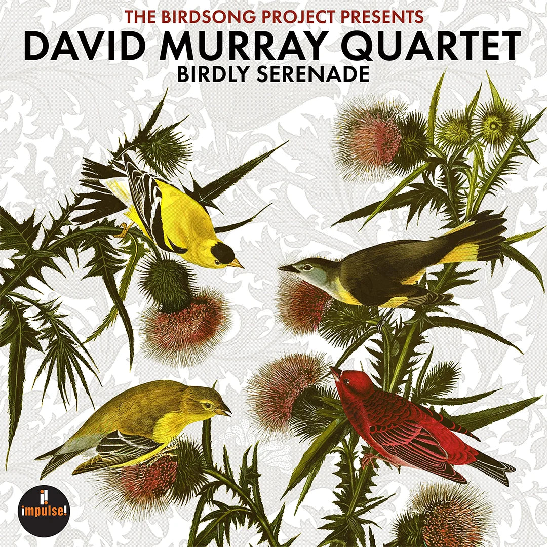 Murray, David Quartet - Birdly Serenade [Vinyl]