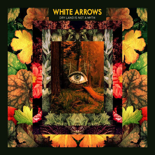 White Arrows - Dry Land Is Not A Myth [CD] [Second Hand]