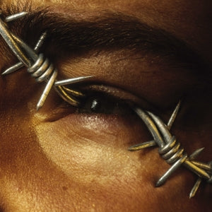 Post Malone - Beerbongs and Bentleys [Vinyl]