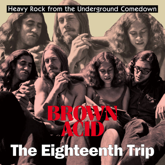 Various - Brown Acid: The Eighteenth Trip [Vinyl]