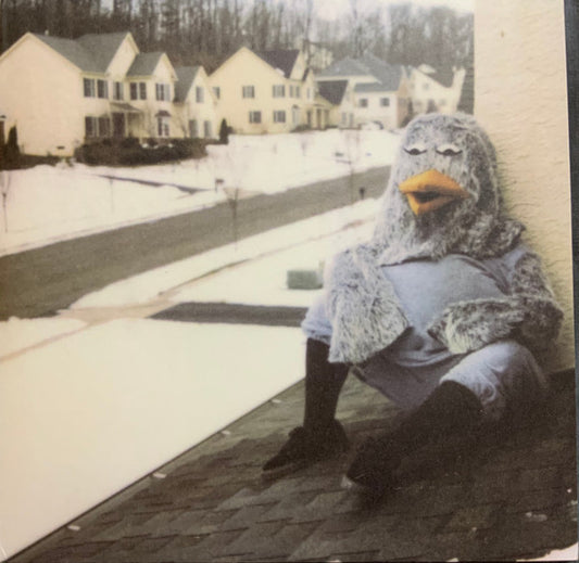 Wonder Years - Suburbia I've Given You All And Now I'm [Vinyl] [Second Hand]