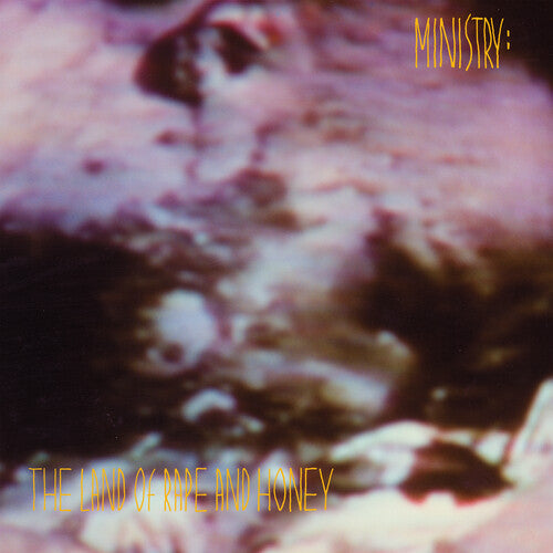 Ministry - Land Of Rape And Honey [Vinyl]