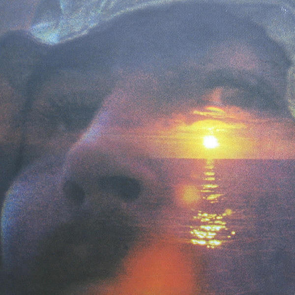 Crosby, David - If I Could Only Remember My Name.... [Vinyl]