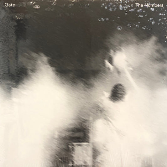 Gate - Numbers [Vinyl]