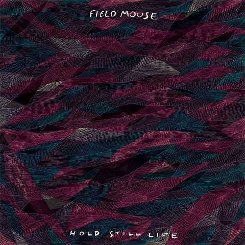 Field Mouse - Hold Still Life [Vinyl] [Second Hand]