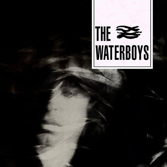 Waterboys - Waterboys [Vinyl] [Second Hand]
