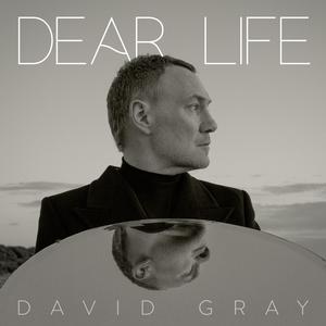 Gray, David - Dear Life [CD]