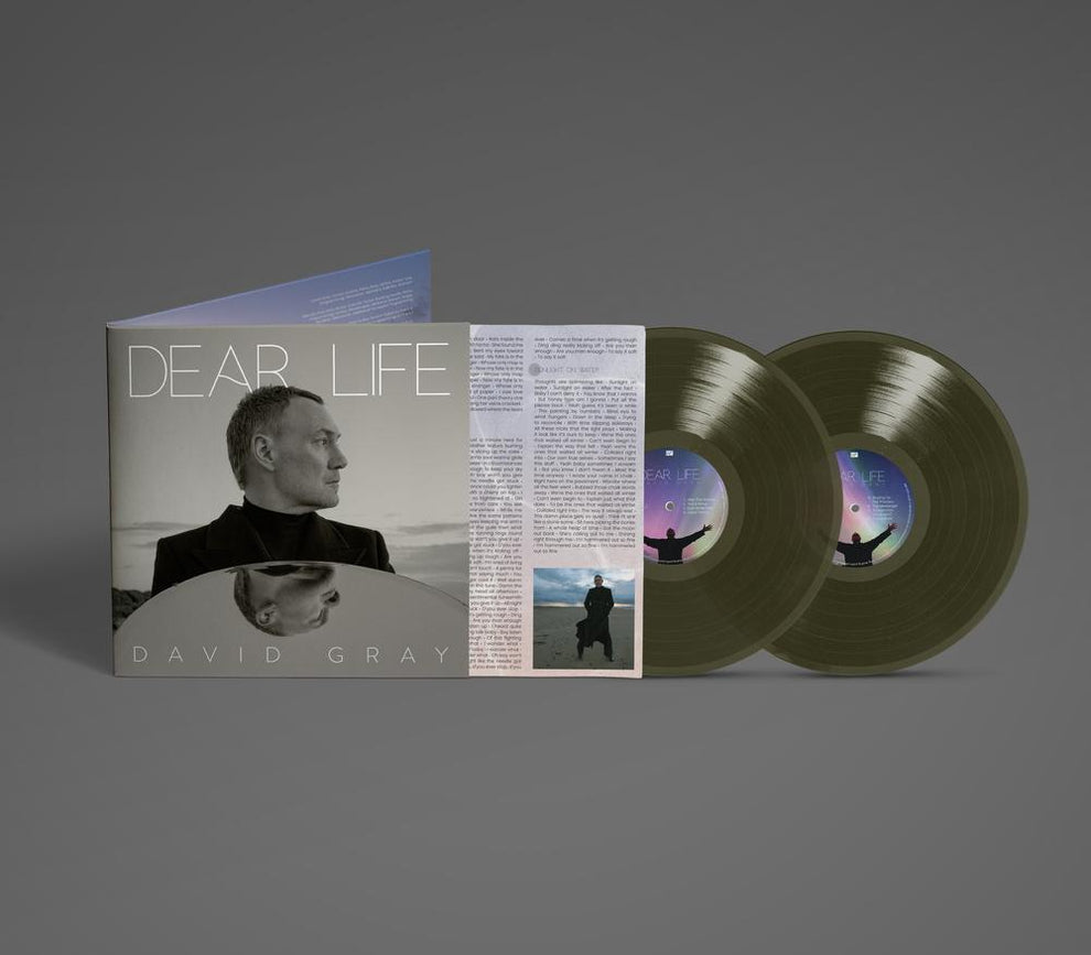 Gray, David - Dear Life [Vinyl] – Rocking Horse Records