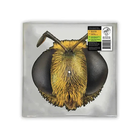 King Gizzard And The Lizard Wizard - Big Fig Wasp [Vinyl]