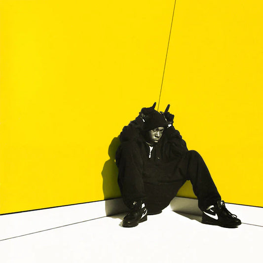 Dizzee Rascal - Boy In Da Corner [CD] [Second Hand]