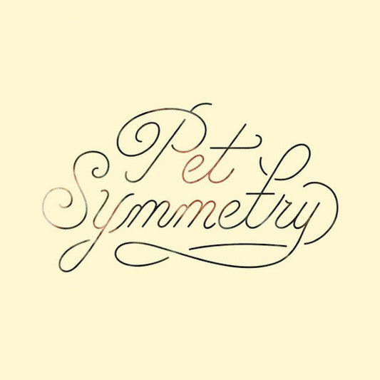 Pet Symmetry - Vision [Vinyl] [Second Hand]