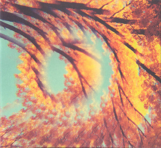 A Hawk And A Hacksaw - Forest Bathing [Vinyl]