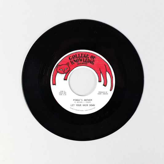 Let Your Hair Down - Pingu's Anthem / Gronk [7 Inch Single]