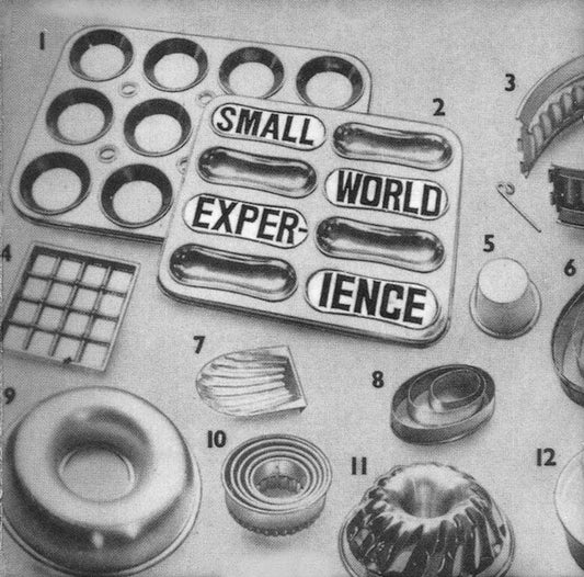 Small World Experience - Shelf-Life [Vinyl]