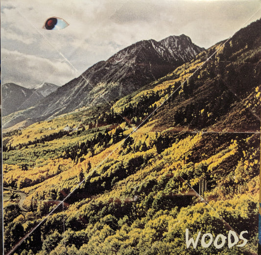 Woods - Songs Of Shame [Vinyl] [Second Hand]