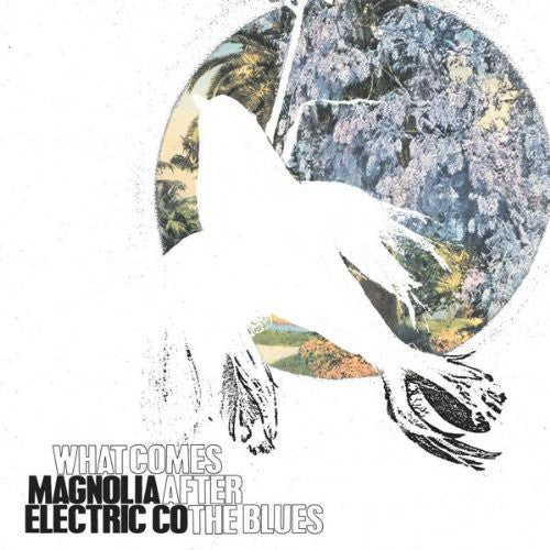 Magnolia Electric Co. - What Comes After The Blues [Vinyl]